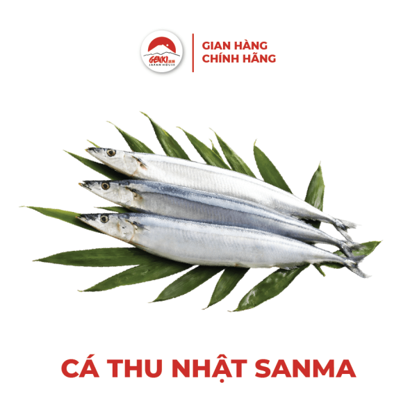 Cá thu đao Nhật (Sanma)
