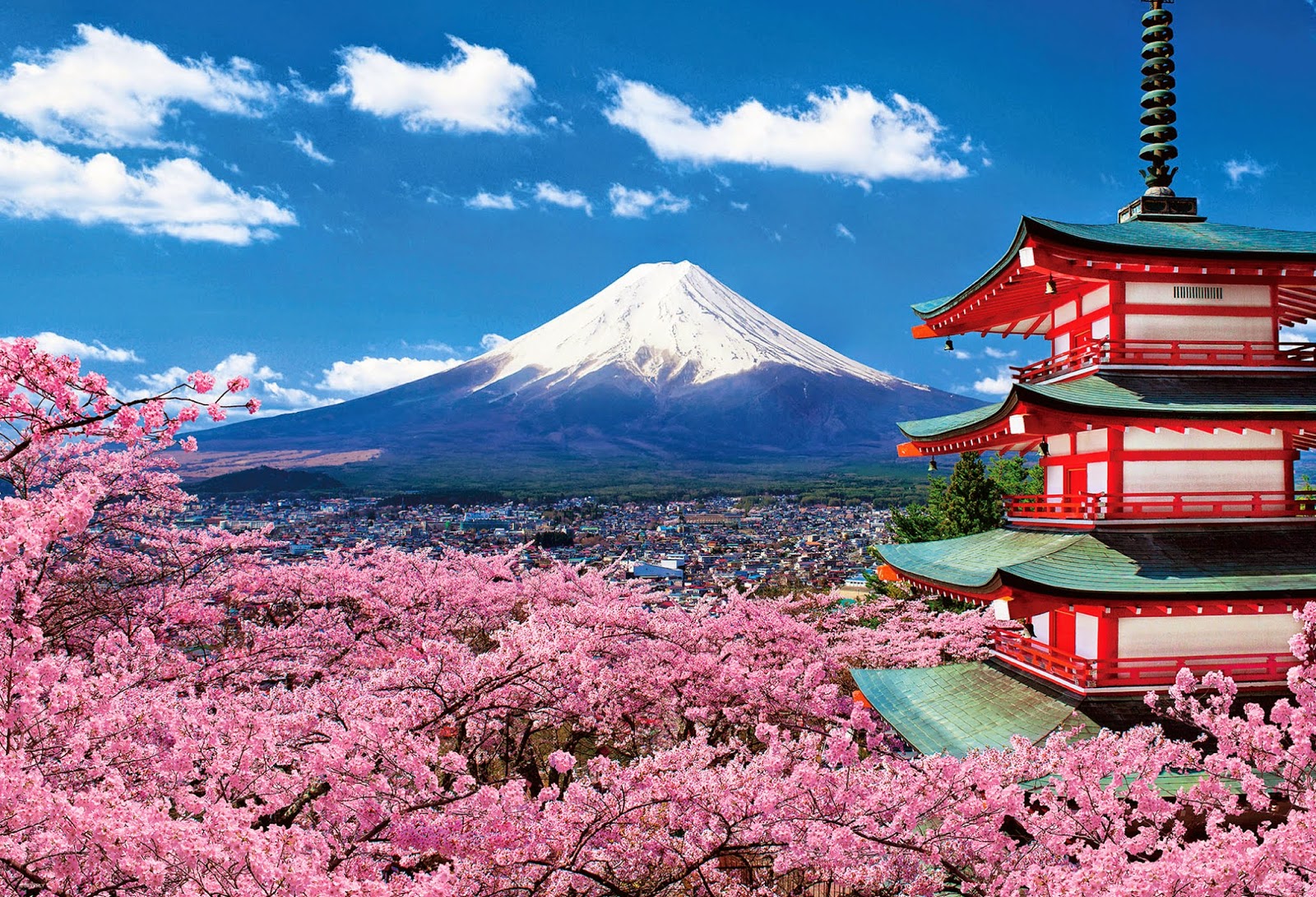6 nét văn hóa đặc trưng của Nhật Bản – Genki Japan House