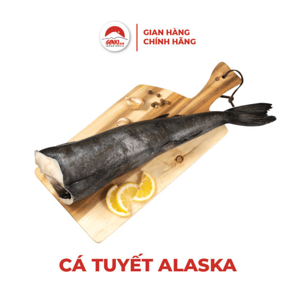 Cá tuyết đen Alaska nguyên con - Tặng 1kg sò dương