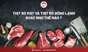 THỊT MÁT VÀ ĐÔNG LẠNH