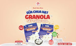 sữa chua sấy thăng hoa